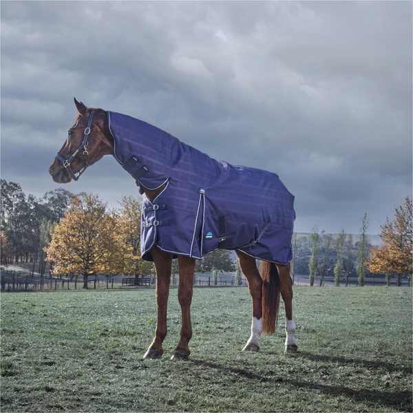 2025 Weatherbeeta Comfitec Préliminaire Turnout Combo 220G 1029030 - Navy Embossed Plaid